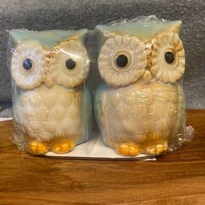 Charming Owl Salt and Pepper Shakers.